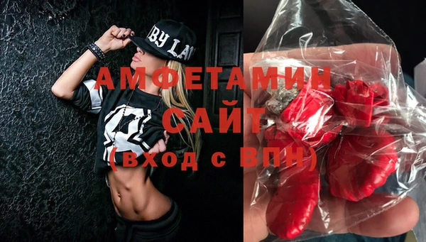 сатива Богданович