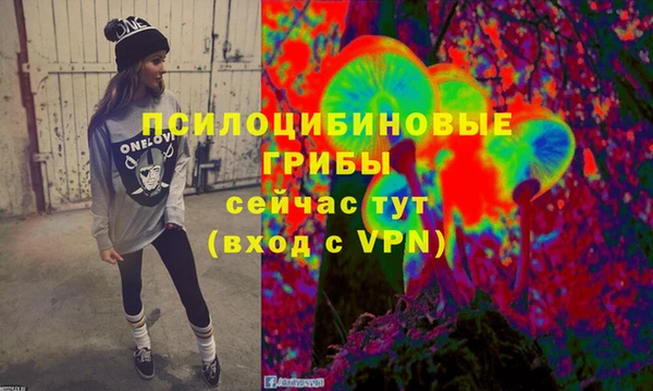 винт Бородино