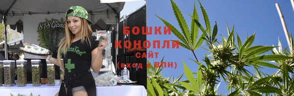 винт Бородино