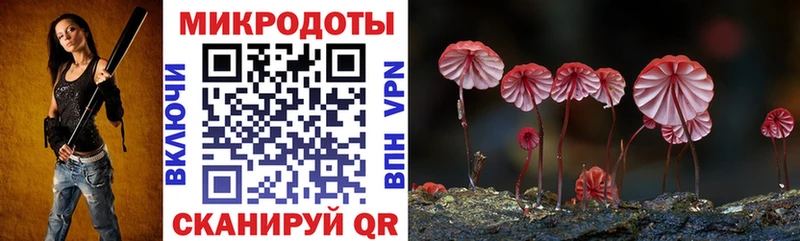 Купить закладки  Дмитров  Галлюциногенные грибы GOLDEN TEACHER 